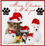 WE LV OUR PETS