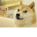 Doge Fan Club..