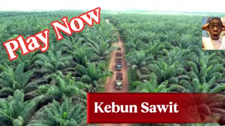 Kebun Sawit [MBG] screenshot 1
