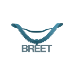 Blue Breet Chain