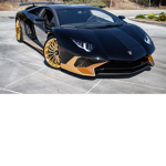 Poldenlodengamer9381 rich gang