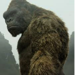 Kong Skull island
