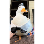 Mia has a duck cult