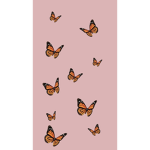 /aesthetic\