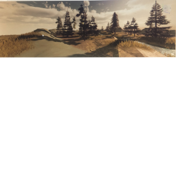- Forest Showcase - (WIP!!)