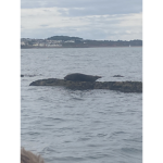 Hipeopleofunkn