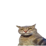 vb dev