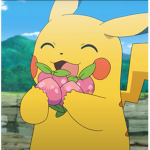 Pokemon berry
