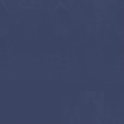 Leak asset thumbnail