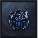 stelth assassin