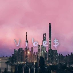 V i b e $ icon