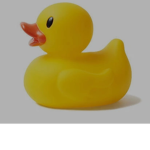 Epic duck Fandom