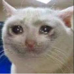 stressed and depressed bois