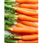 •carrot fans•