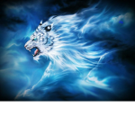 White Tiger Studios