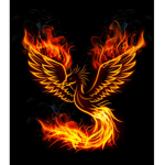 Fire bird fam