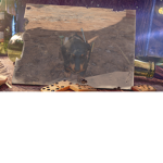 trade gabrys