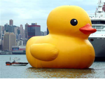 the big super duck