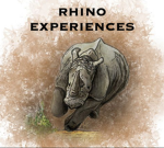 Rhino Experiences