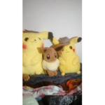 A group for Pokemon fans