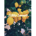 Silky Lemons