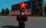 装甲步兵混合大队