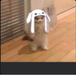 tenjtd