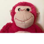 Pink monkeys ooooo