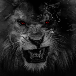 -+. Outlands .+-
