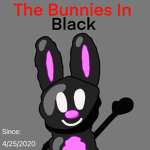 The bunnies in black