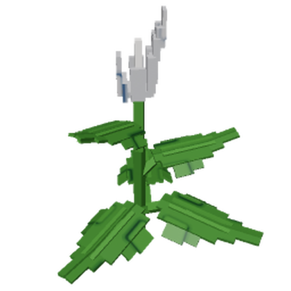Peace Lily produce image