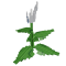 Peace Lily produce