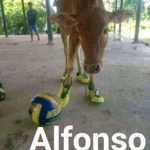 Los A