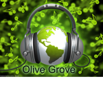 Olive Grove
