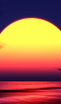 The sunsssss group