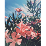unique floral homestore
