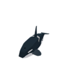 Orca Fan Group!!