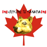 The Canadian Dogos!