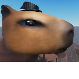 capybara meeting place