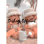 Seshay official