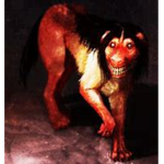 Bandicoot Vibez