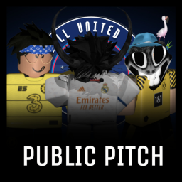 FUL | Public Pitch