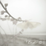 iceei