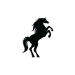 +Royal Horse Academy+