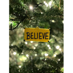Believer’s