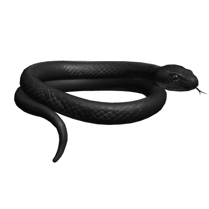Black Snake