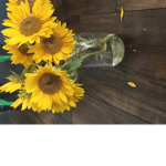 SASSY SUNFLOWER GIRLS