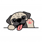 Pugs Dev Group!