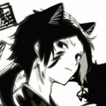 Cat dimention