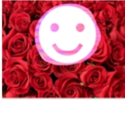 (:Smiile:)